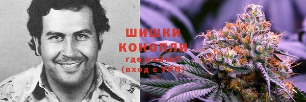 мяу мяу кристалл Богданович